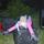 M_36afaee8ee35c9ce541b0a6571bcb713.thumb