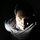 Fb_profile_picture.thumb