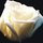 Fb_profile_picture.thumb