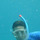 Evan_snorkel.thumb
