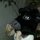 Fb_profile_picture.thumb