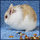 Fb_profile_picture.thumb
