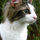 3508247259_f54dc2cb40_b.thumb