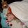 Dsc00255.thumb