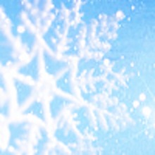 Snowflake.large