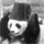Panda.thumb