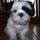 Fb_profile_picture.thumb