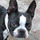 Bibi-icon.thumb