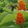 Imgp0551.thumb