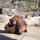 N503461844_1015302_9927.thumb