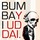 Bumbaiskull6.thumb