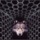 Wolf_shimmering_door.thumb