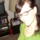 In_green_with_bangs_headshot_shrunk.thumb