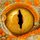 Eye_of_a_gecko.thumb