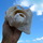 Img_0563.thumb
