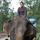 Pdo_elephant