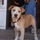 Dsc04635.thumb