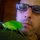 Fb_profile_picture.thumb