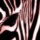 Z3.thumb
