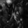 Fb_profile_picture.thumb