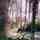 9310056.thumb