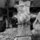 17967_250093807986_507757986_3287028_2065202_n.thumb