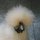 Fb_profile_picture.thumb