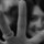 Nml555.thumb