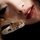 Fb_profile_picture.thumb