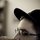 Fb_profile_picture.thumb