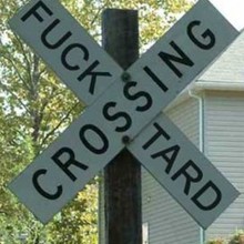 Tard-crossing-272x300.large