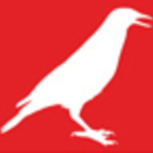 Small-bird-logo.large