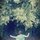 Fb_profile_picture.thumb