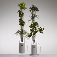 Windowfarms_webcrop.large