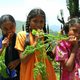 Mountain_carrots_by_kirsten_anderson