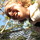 Img_1103.thumb