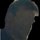 Fb_profile_picture.thumb