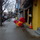 Sdc12614.thumb