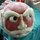 Fb_profile_picture.thumb