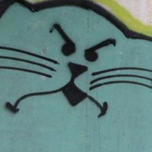 Icon-angry-cat.large