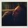 Fb_profile_picture.thumb