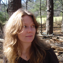 St_tn_woods.large