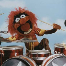 Animal_drums.large