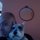 Fb_profile_picture.thumb