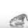 Whitetiger.thumb