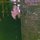 Fb_profile_picture.thumb