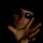 Fb_profile_picture.thumb
