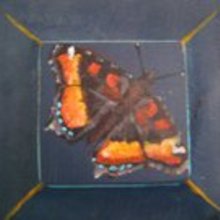 Fb_profile_picture.large