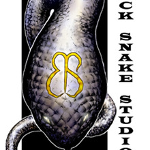 Bss_copy.large