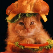 Kitty_sandwich_big.large